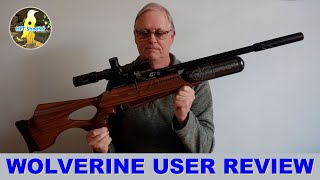 35  Daystate Wolverine R HiLite User Review [upl. by Leonid]