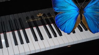 Butterfly VIP Tutorial [upl. by Barkley919]