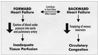 Differences between Forward Heart Failure and Backward Heart Failure [upl. by Venice239]