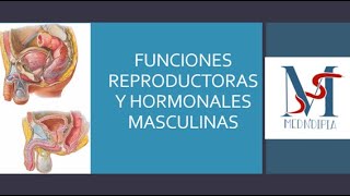 HORMONAS SEXUALES MASCULINAS [upl. by Retsel]