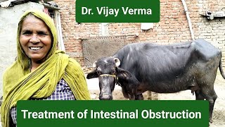 Treatment of Intestinal Obstruction Dr Vijay Verma [upl. by Airpac]