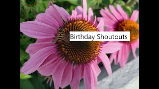 November Birthday Shoutouts [upl. by Brinn]