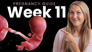 11 Weeks Pregnant  Week By Week Pregnancy [upl. by Chad]