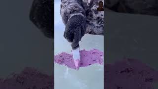 winter ice wow icecream bushcraftcooking outdoorcuisine cooking cookingfood cool [upl. by Erodeht]