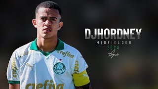 ⚽ DJHORDNEY  DEFENSIVE MIDFIELDER  PALMEIRAS Skills Goals amp Assists  HD 2024 [upl. by Drake]