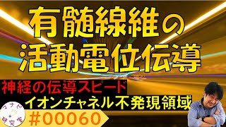 活動電位を得た神経はさらに進化して跳躍伝導を得る 00060 [upl. by Kerrill]