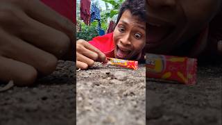 Its too quick to imagi creature inside chocolate shortvide millipede [upl. by Ravi]