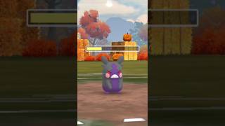 When I used Morpeko in battle with form change 😳 Pokemon go [upl. by Tranquada]