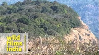 Reiek Tlang hills  Popular destination for adventure seekers Mizoram [upl. by Yrtneg]