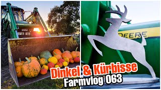 Neue Kühlerfigur🚜  Aussaat Dinkel  Kürbisernte  Farmvlog 063 [upl. by Nnarual]