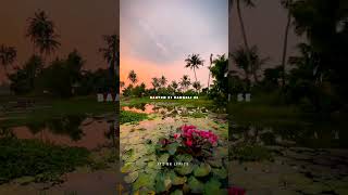 Manwa laage song lyricsaesthetic status 🥰shorts viralvideo [upl. by Nooj205]