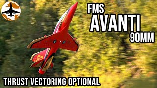 Thrust Vectored Awesomeness  FMS Avanti 90mm EDF Jet Review [upl. by Quartus40]