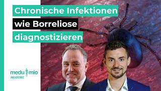 Labordiagnostik Chronische Infektionen wie Borreliose erkennen 🔬 Dr Schwarzbach [upl. by Baryram]