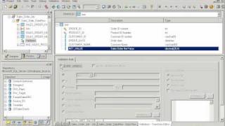 Business Objects Data Integrator demo [upl. by Aeneg]