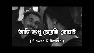 AamiSudhuCheyechiTomay।।Slow amp Reverb Lofi ।। আমি শুধু চেয়েছি তোমায় ।।Bengali song [upl. by Peti590]