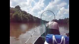 Running the Staunton River In my Coleman Scanoe with 25 hp mercury outboard [upl. by Notyep]