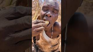 its So Delicious 😋🔥 natural Roots food hadzabe tribe Oldman eating morning breakfast [upl. by Anaynek]