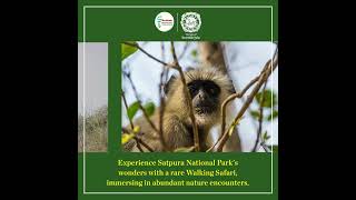 MeriPachmarhi  Discover the wonders of Satpura National Park [upl. by Knowle]