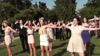 flashmob mariage [upl. by Soluk822]