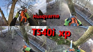 Das Geheimnis ist keins mehr  Erste Arbeiten mit der Husqvarna T540i xp I Bades Baumdienst [upl. by Triny]