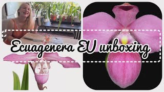 Ecuagenera EU Orchid unboxing video [upl. by Isiah]