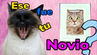 ¿Ese fue NOVIO tuyo 😹😹😹 Compilación de CHISTES N 36 [upl. by Edniya122]