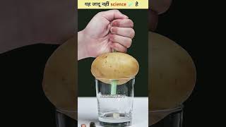 amazingfacts science scienceexperiment factsinhindi experiment magic facts sciencefacts [upl. by Jun]