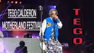 Tego Calderon Live At Motherland Festival [upl. by Scribner67]