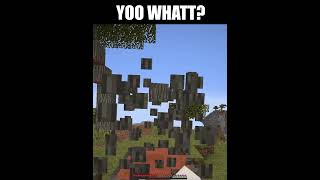 WHAT  minecraftmemes [upl. by Elder719]