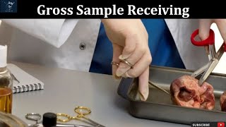 Gross Sample Receiving in Histopathology Laboratory  The First Step in Precise Diagnosis [upl. by Nisotawulo]