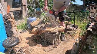 QUICK CARVE CHAINSAW ABSTRACT arborist waste paperbark melaleuca [upl. by Winebaum]