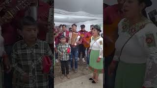 ANDO BUSCANDO UN AMOR GRUPO MUSICAL ALBITA JR 2024 [upl. by Grinnell58]