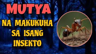 MUTYA NA MAKUKUHA SA ISANG INSEKTOLIHIM NA KAALAMAN [upl. by Julis]