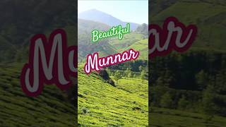 Is Munnar the Most Beautiful Hill Station in India kerala [upl. by Yelsgnik134]