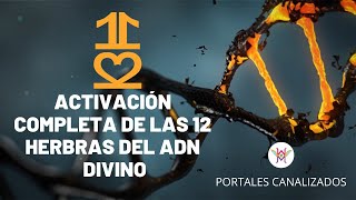 🌀Activación de las 12 hebras del ADN Divino🧬 [upl. by Enila]