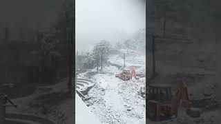 Fresh Snowfall in CHAIL near Shimla  Heaven on Earth shorts snowfall chail shimla [upl. by Sibylla]