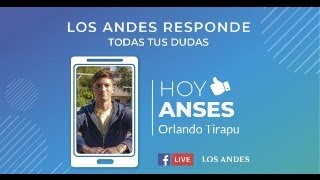 Cambios que se aplican en ANSES  Los Andes Responde [upl. by Esiuol]