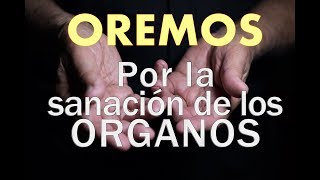 Oración por los ORGANOS DEL CUERPO  padre DARIO BETANCOURT [upl. by Aihsas]