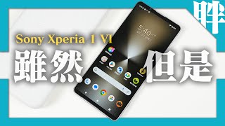 Sony Xperia 1 VI開箱動手玩：幾乎都做對了，除了一件事｜對比Xperia 1 V｜安兔兔跑分｜相機簡單實拍｜劉胖胖 [upl. by Heidt]