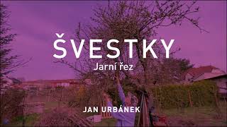 ŠVESTKY – jarní řez [upl. by Eninotna]