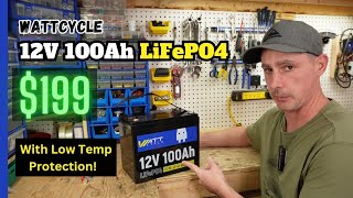 230 WattCycle 128V 100Ah LiFePO4 Battery Lets Open It Up [upl. by Ollecram]