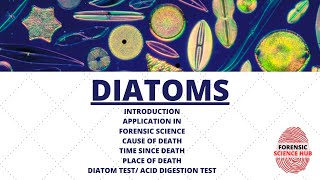 Forensic importance of diatoms  UGC NET forensic science [upl. by Sarilda]