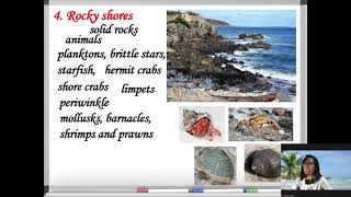 The Biotic Factors in Intertidal Zones and Estuarine Ecosystem [upl. by Klinger]