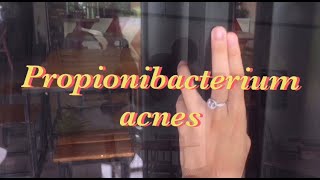 Propionibacterium acnes [upl. by Charlene]