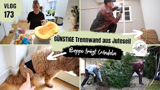 GÜNSTIGE Trennwand aus Juteseil selber bauen Teil1 🤑 Kürbissuppe kochen 173 [upl. by Annavaig]