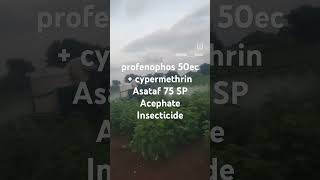 profenophos 50ec  cypermethrin Asataf 75 SP Acephate Insecticide dawai chntkav cotton [upl. by Notsruht]