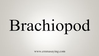 How To Say Brachiopod [upl. by O'Carroll774]