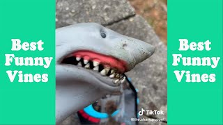 1 Hour Funny Shark Puppet Tik Tok 2023  Best Shark Puppet Tik Tok [upl. by Beth]