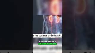 Toxinas Urémicas ¿Qué Son y Cómo Afectan Tu Salud❓ saludnatural saludrenal riñones [upl. by Nork]