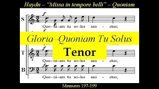 Haydn  Missa In Tempore Belli  Paukenmesse  2c Gloria Quoniam tu solus  Tenor [upl. by Conlen]